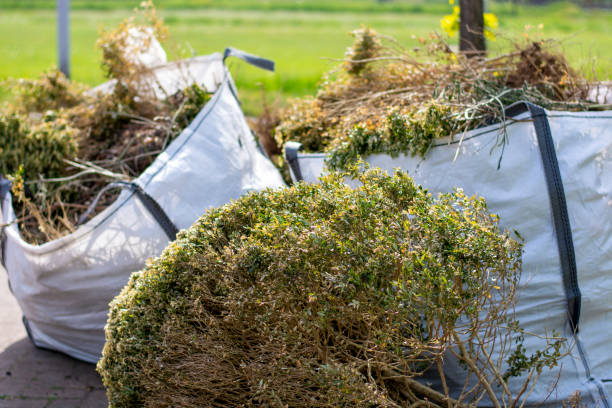 Best Moving and Downsizing Cleanouts  in Bemidji, MN